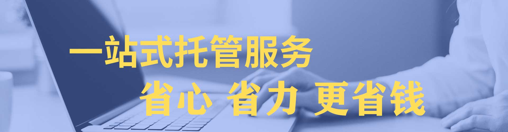 颍泉竞价托管