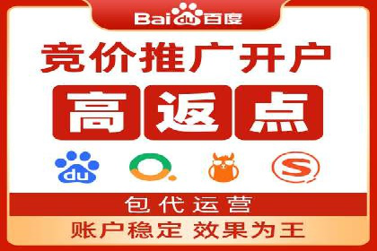 深入解析SEM账户竞价运营成功案例